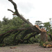 Hurricane damage by eudora