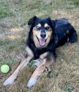 8th Sep 2024 - A happy boy