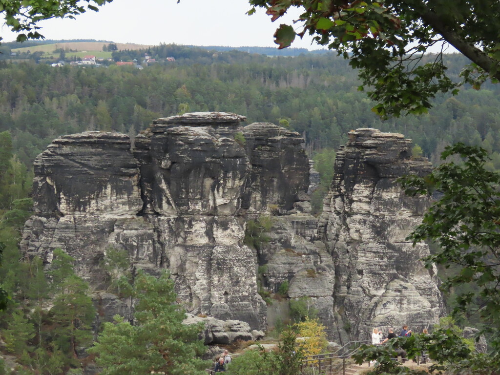 National Park in Germany by koalagardens