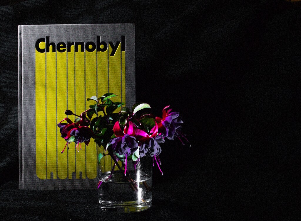 Literature Project #10 Pierpaolo Mittica 'Chernobyl' by allsop