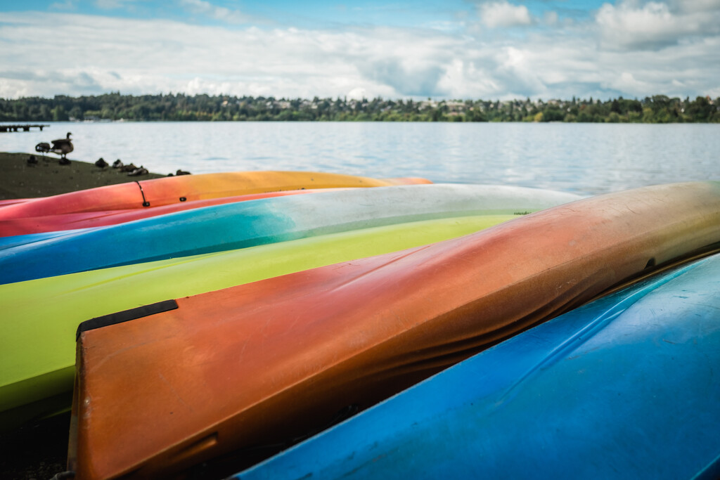 Kayaks Lined Up by tina_mac