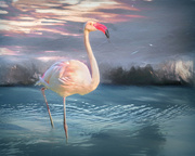 13th Sep 2024 - Happy Flamingo Friday