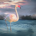 Happy Flamingo Friday by ludwigsdiana