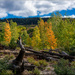 John Muir Trail -  Mammoth Lakes area by 365projectorgchristine