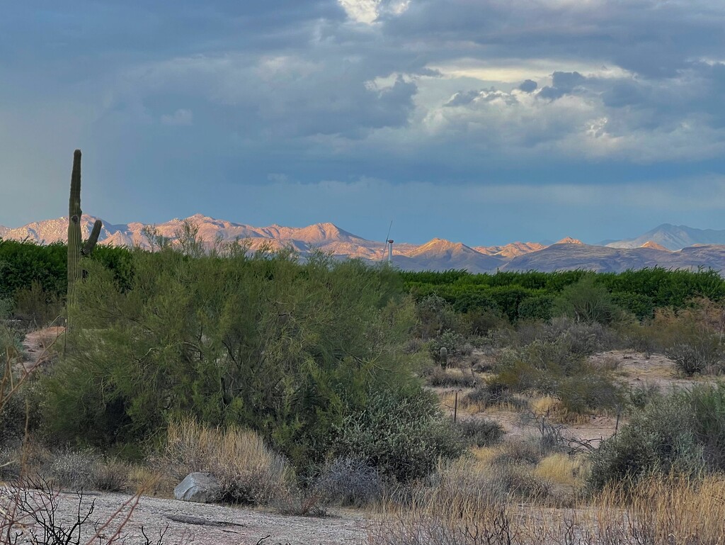 8 28  Late Afternoon Desert and Mountains by sandlily