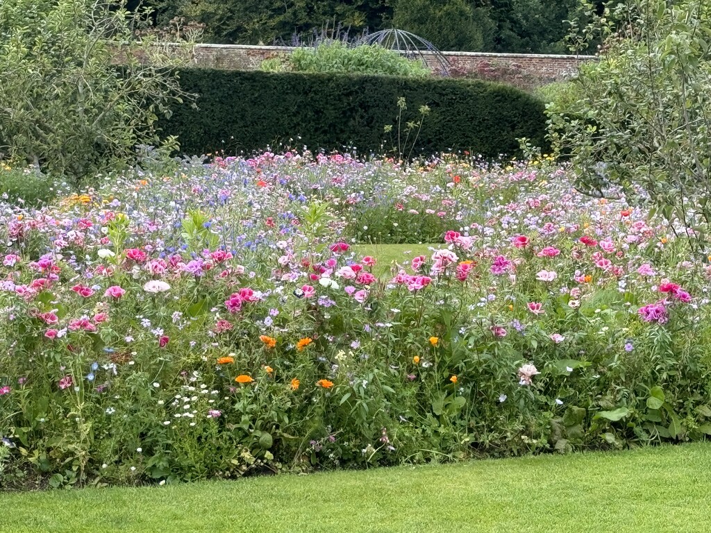 Bangor Castle Walled Garden by alison59