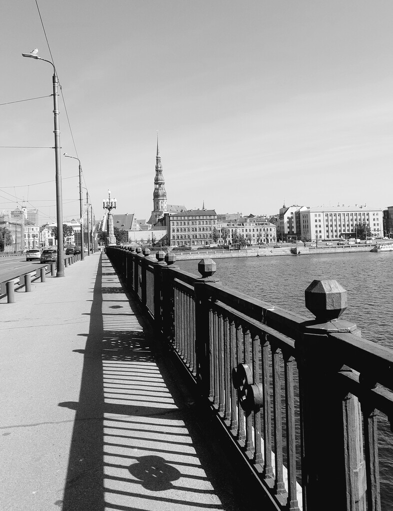 Riga in mono by busylady