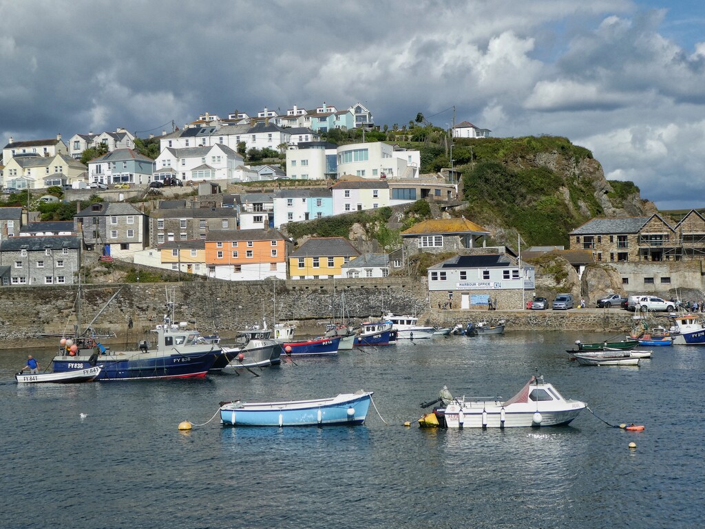 Cats and Dogs Clouds Over Mevagissey  by 30pics4jackiesdiamond