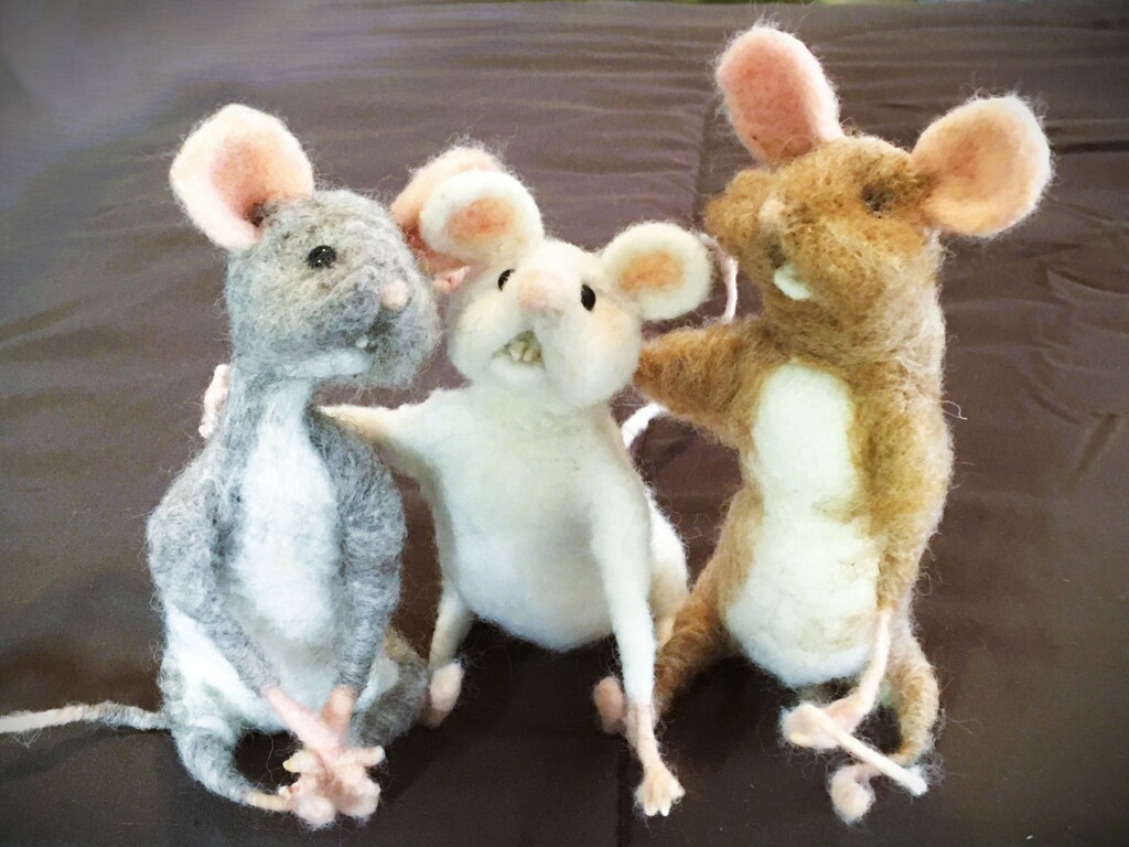 Mice by photohoot