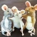 Mice