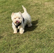 13th Sep 2024 - Extras - George says Hi!