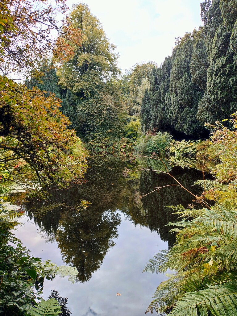 Autumn Colours  by countrylassie