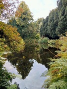 13th Sep 2024 - Autumn Colours 