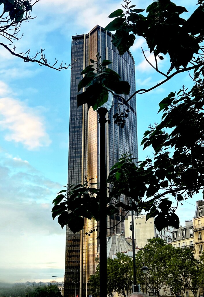 La Tour Montparnasse  by rensala