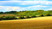 13th Sep 2024 - The straw has been bailed and collected.