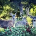 Intimate Place in The Forest by gardenfolk