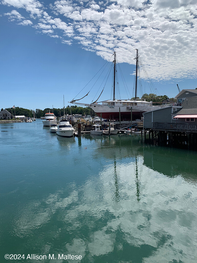 Harbor Reflections by falcon11