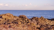 12th Sep 2024 - Rocks At Point Samson P9123633