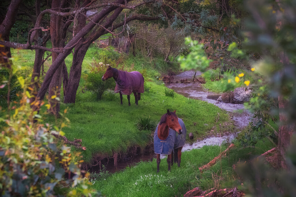 Valley of the Horses by helenw2