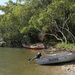 Boats on the shore