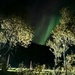 Northern lights 2