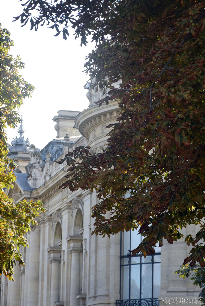 Petit Palais by parisouailleurs