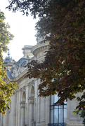 10th Sep 2024 - Petit Palais