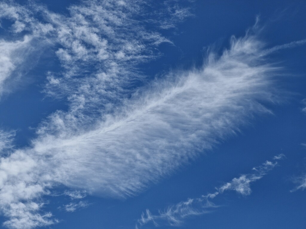 Cloud Feather  by dragey74