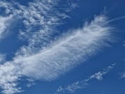 14th Sep 2024 - Cloud Feather 