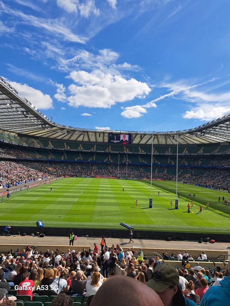 Twickenham. Red roses by ludbrook482