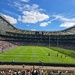 Twickenham. Red roses