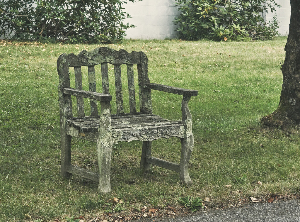 A Seat Under the Tree by gardencat