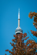 14th Sep 2024 - CN Tower at the Waterfront