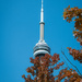 CN Tower at the Waterfront by maggierileyphoto