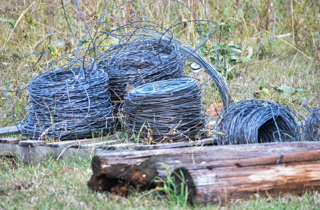 Barb Wire Rolls  by bjywamer