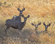 12th Sep 2024 - family portrait