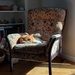 Sun puddle  by samcat