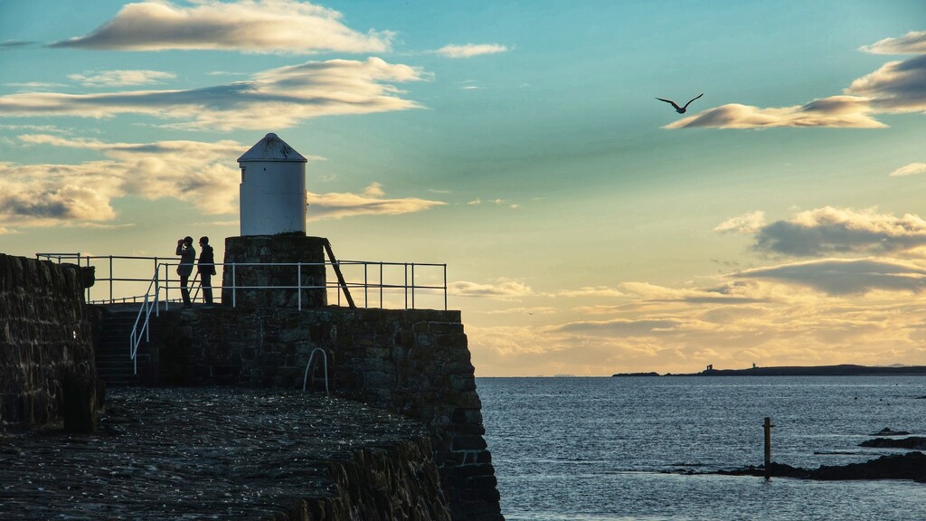 There’s a gull behind you!! by billdavidson