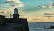 14th Sep 2024 - There’s a gull behind you!!