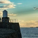 There’s a gull behind you!! by billdavidson