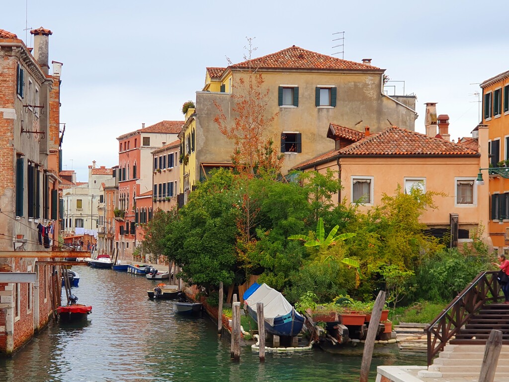 A Venetian Garden by will_wooderson