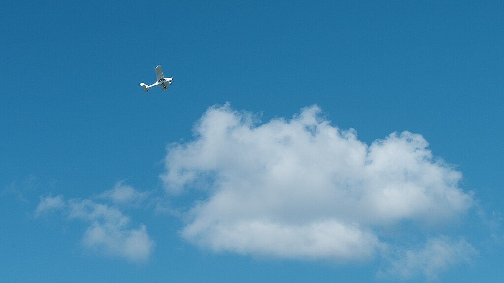 258/366. Reaching for the Clouds by bennyr