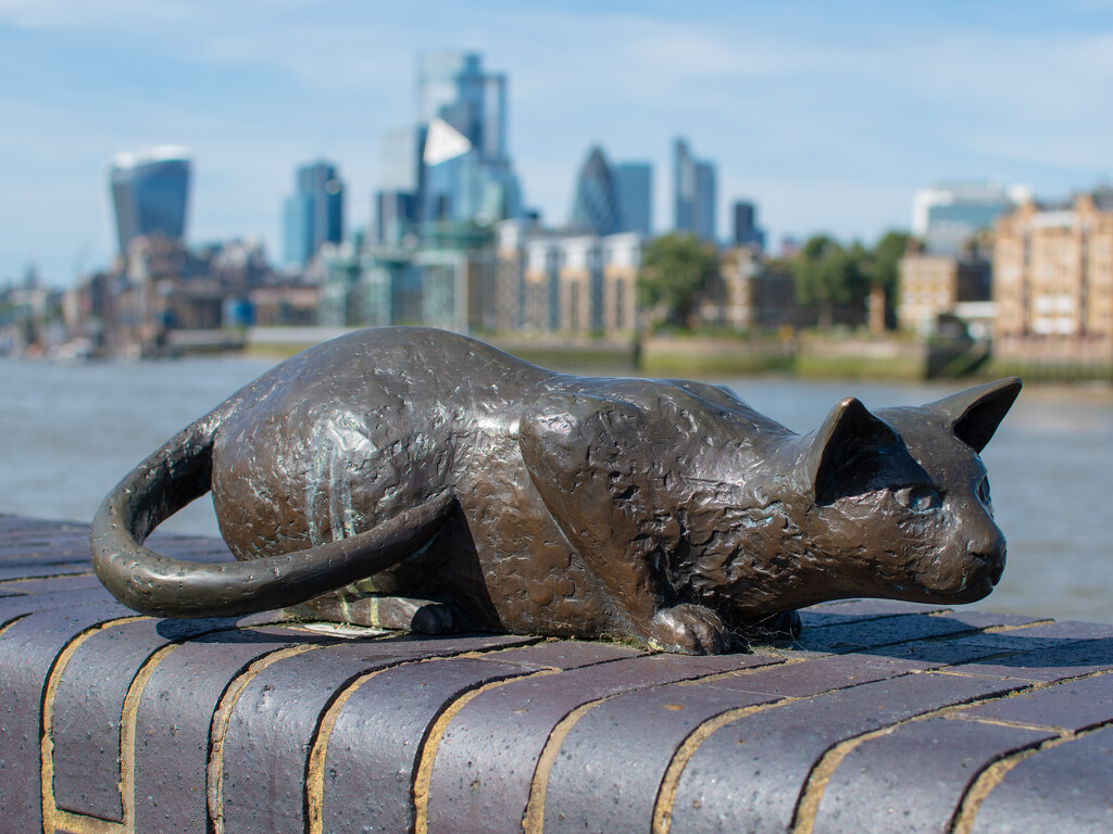 The cat and the City of London by anncooke76