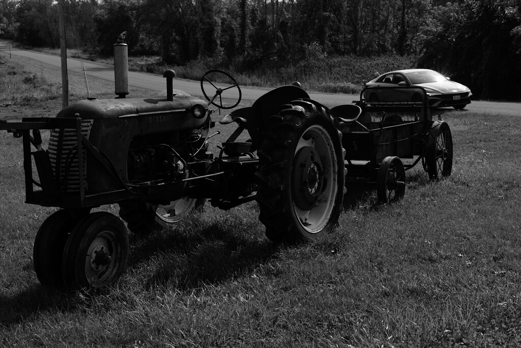 Lawn Ornament by darchibald