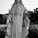 Queen of Heaven by darchibald