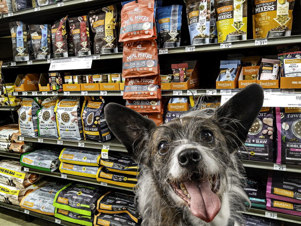 Pet Store Selfie  by myhrhelper