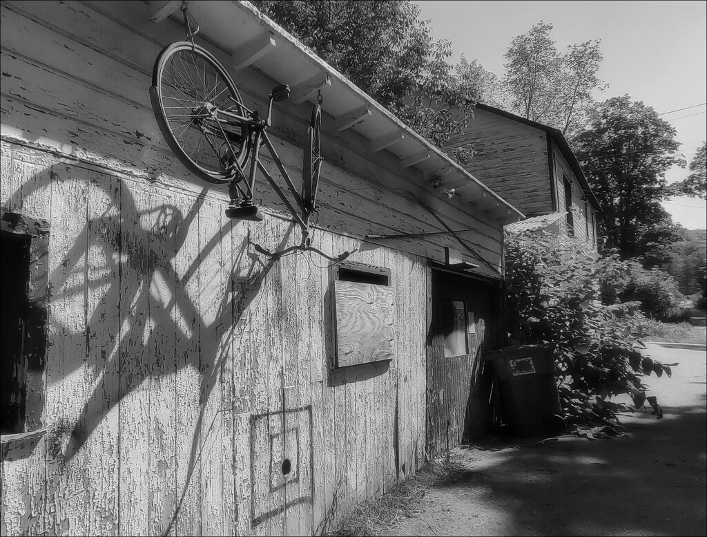 The Old Bicycle Shop at Cliffside Park by olivetreeann