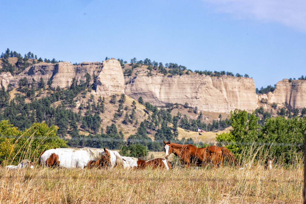 Ft Robinson horses by aecasey