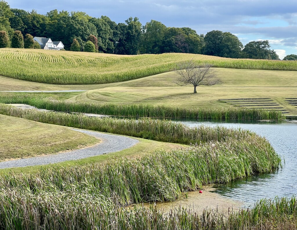 Gently Rolling Hills by calm