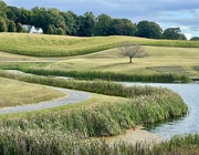 14th Sep 2024 - Gently Rolling Hills